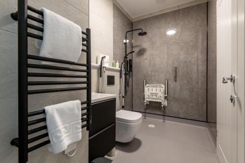 a bathroom with a toilet and a sink and a shower at Rusheen Cottage in St. Andrews