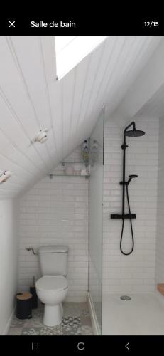 a white bathroom with a shower and a toilet at Chez madame Hulotte in Saint-Nazaire