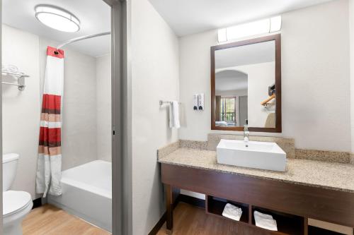 a bathroom with a sink and a toilet and a mirror at Red Roof Inn Lancaster in Lancaster
