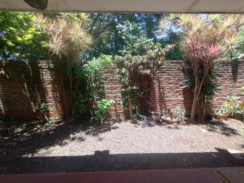 a brick wall with palm trees in a garden at Alojamiento Pichinchas in Paso de los Libres