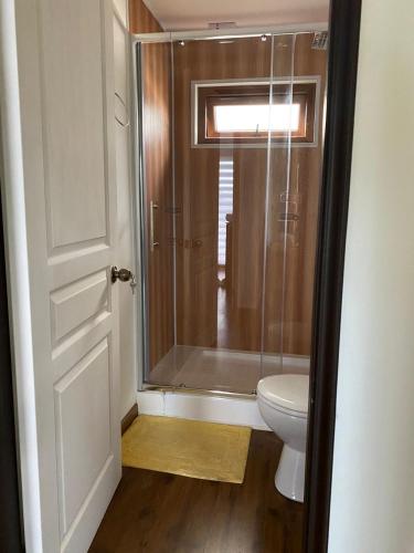 a bathroom with a shower and a toilet at Los Ciruelos Cabin in Calbuco