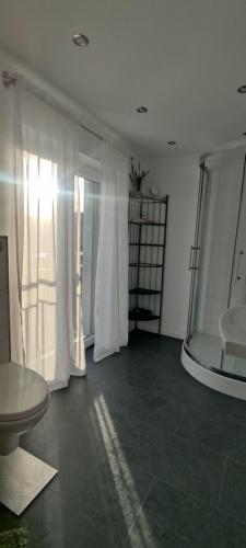 a white room with a toilet and a window at Ferienhaus Vogelsberg in Mechernich