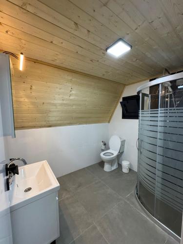 a bathroom with a toilet and a shower and a sink at Evergreen Lodge in Çakırlar