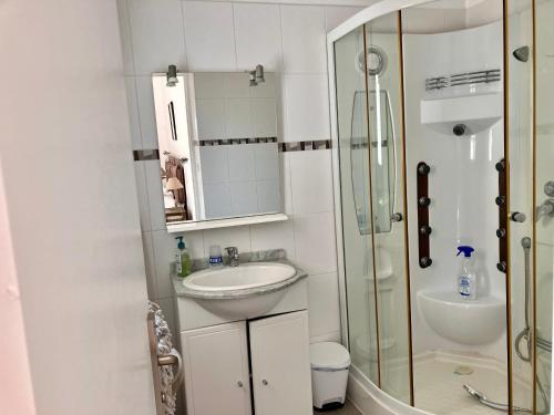 a white bathroom with a sink and a shower at Studio Mas Pierre in Maureillas