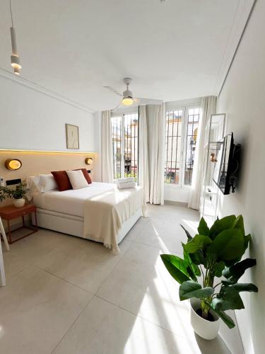 ISG Apartments Imagen