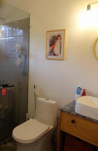 a bathroom with a toilet and a shower and a sink at TheMalkohaVilla in Umsning
