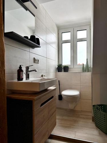 a bathroom with a sink and a toilet at Dachblick by Zirwick Apartment in Windischeschenbach