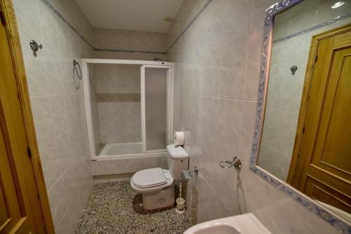 a bathroom with a toilet and a sink and a mirror at Casa Palomin in Ourense