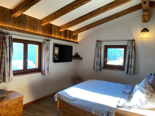 a bedroom with a bed and two windows at Sonnberg Apartment in Niedernsill