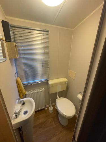 a small bathroom with a toilet and a sink at 26 The Green Captains Cabin in Crantock