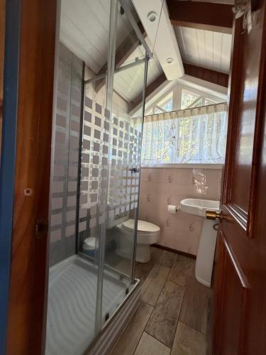a bathroom with a glass shower and a toilet at Hotel y Cabañas Molino Viejo in Puerto Varas