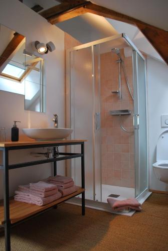 a bathroom with a sink and a shower at Maison Le Feu Follet in Lormes