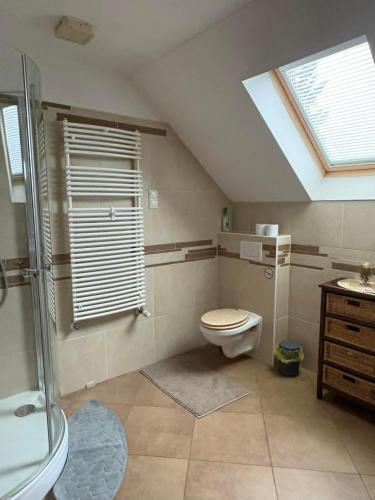 a bathroom with a shower and a toilet and a sink at Oliver's House in Budaörs