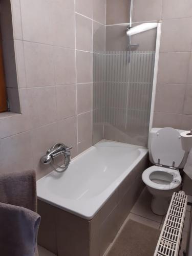 a bathroom with a bath tub and a toilet at La Bergerie in Froid-Chapelle
