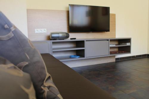 a living room with a television and a couch at Appart Collina in Pfunds