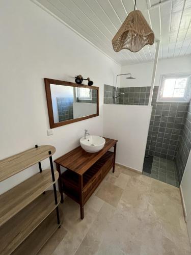 a bathroom with a sink and a shower at Bungalow sur la plage in Le Carbet