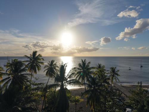 a view of a beach with palm trees and the sun at Bungalow sur la plage in Le Carbet
