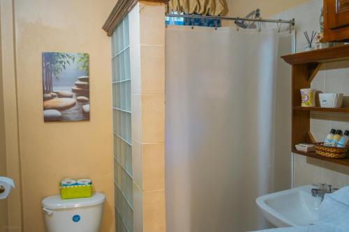 a bathroom with a shower and a toilet and a sink at SK S Haven #1 in Castries