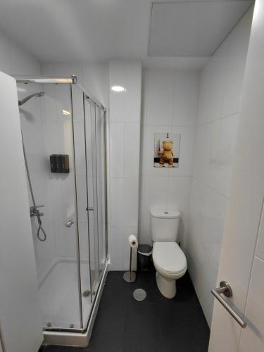 Apolo Studio
