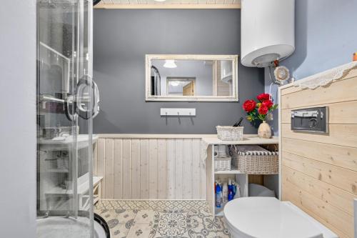 a bathroom with a shower and a toilet and a mirror at Wiedemanni Apartments in Haapsalu