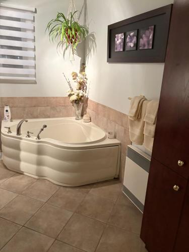 eine Badewanne in einem Badezimmer mit einer Pflanze in der Unterkunft Chalet St-Côme in Saint Come