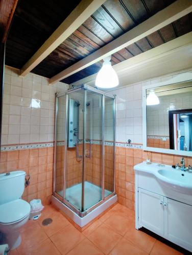 a bathroom with a shower and a toilet and a sink at Casa Chisco in Cudillero
