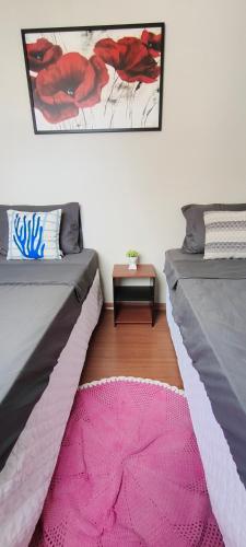 two beds in a room with a pink rug at Doce Encanto in Uberaba