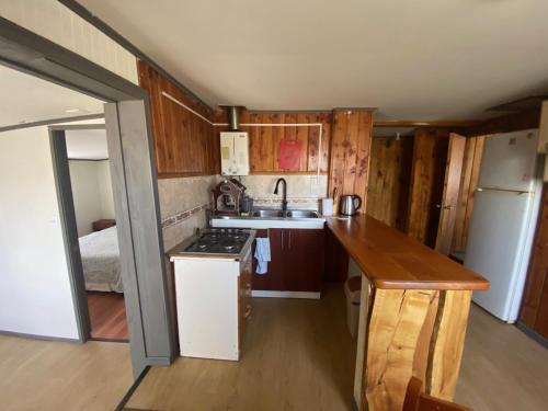 a small kitchen with a sink and a stove at San Joaquin in Curacautín