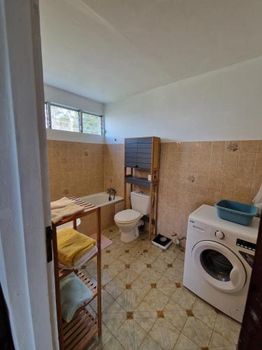 a bathroom with a toilet and a washing machine at Holiday rental House in Schœlcher