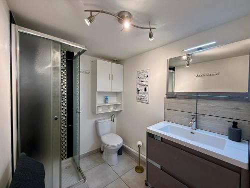 a bathroom with a shower and a toilet and a sink at LE BORA - Duplex en Centre-ville - Puy-du-fouu in Cholet