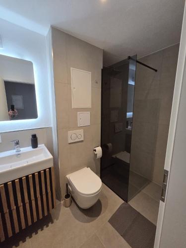 a bathroom with a toilet and a sink and a shower at Bergzauber Bayerwald - voll ausgestattetes Familienapartment mit Pool in Sankt Englmar