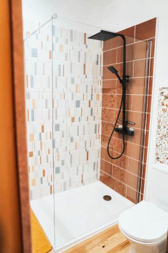 a bathroom with a shower with a toilet at Chambre d'hôtes La clef des Champs - LA SOURCE DE NOS RACINES - CORPS DE FERME AU COEUR DU PARC NATUREL DE L'AVESNOIS in Beaufort