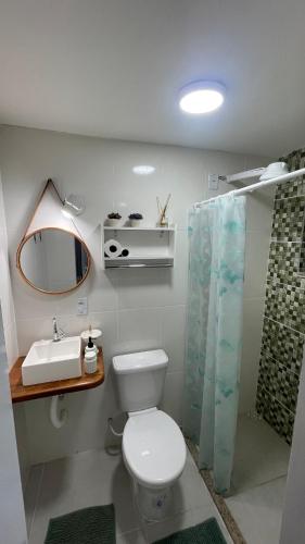 a bathroom with a toilet and a sink and a mirror at Loft das Maritacas - Conservatória in Valença
