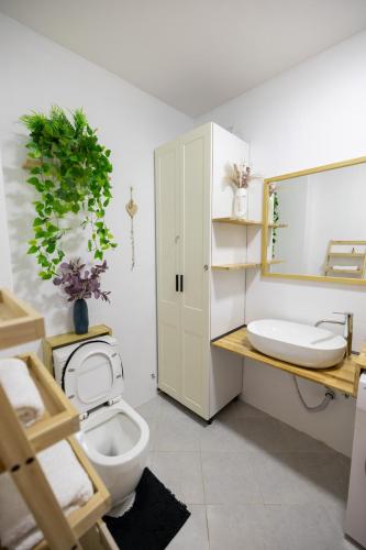 łazienka z toaletą, umywalką i lustrem w obiekcie Boho Central Apartment w Tiranie