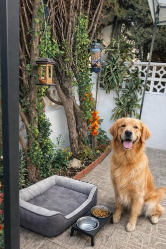 Enjoy the experience and details