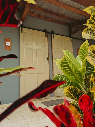 a garage with two white doors and a plant at Camping- Sanagua Lodge in El Copé