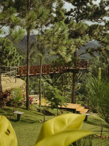 a wooden bridge in a park with trees at Camping- Sanagua Lodge in El Copé