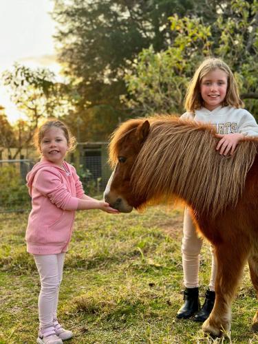 two little girls are petting a miniature pony at 100 acres of mountain paradise all to yourself in Berry