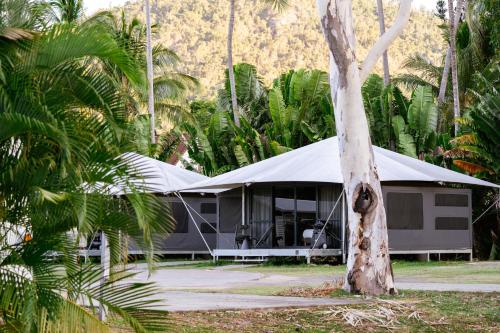 a building with a tent next to a tree at Tasman Holiday Parks - Airlie Beach in Airlie Beach