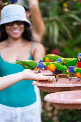 a woman is feeding two colorful birds on a bird feeder at Tasman Holiday Parks - Airlie Beach in Airlie Beach