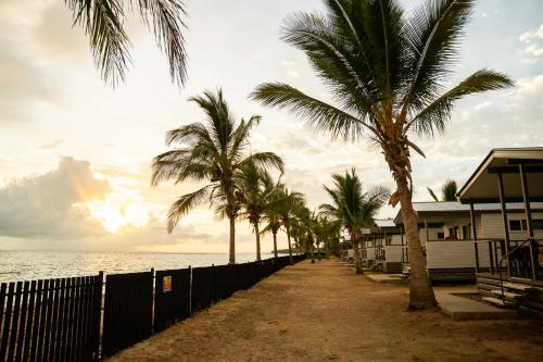 a row of palm trees next to the ocean at Tasman Holiday Parks - Rollingstone in Rollingstone