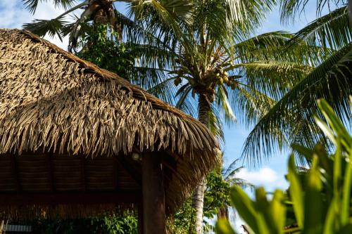 a straw hut with palm trees in the background at BIG4 Tasman Holiday Parks - South Mission Beach in South Mission Beach