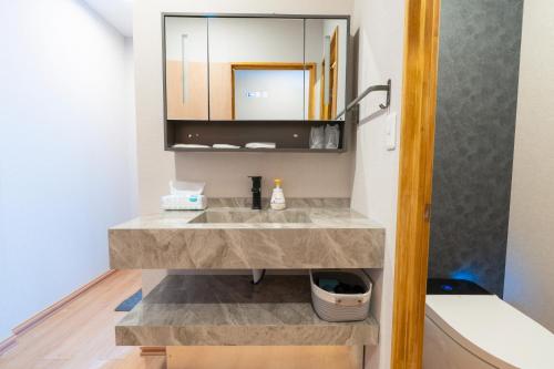 a bathroom with a sink and a mirror at 苗場サンバレーホテル in Minami Uonuma