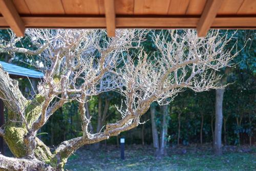 Ito Omuro onsen KAGURATEI 伊東 大室温泉 神楽邸 -温泉付-