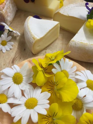 a bunch of cheese and flowers on a cutting board at Boutiquehotel Kloster Pfalzel in Trier