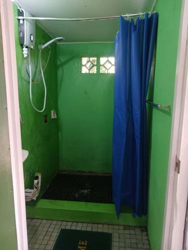 a bathroom with a shower with a blue shower curtain at Mana ki he Mana Residence in Pelehake, Tongatapu in Malapo