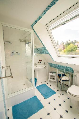 a bathroom with a shower and a toilet at Haus Waldwiese in Hahnenklee-Bockswiese