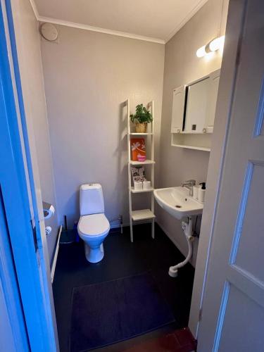 ein kleines Badezimmer mit Toilette und Waschbecken in der Unterkunft KalmarStay in Ålem