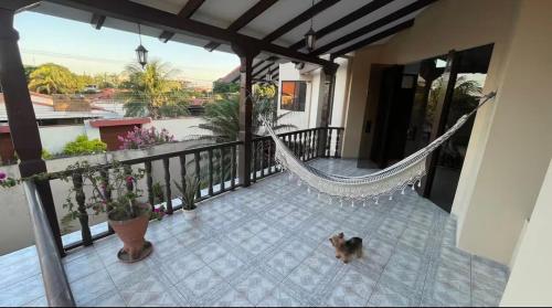 un gatto in piedi su un balcone con un'amaca di La Posada a Santa Cruz de la Sierra