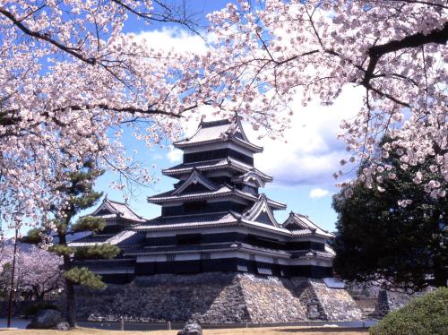 a pagoda withakura trees in front of it at CatNook 猫ちぐら in Matsumoto